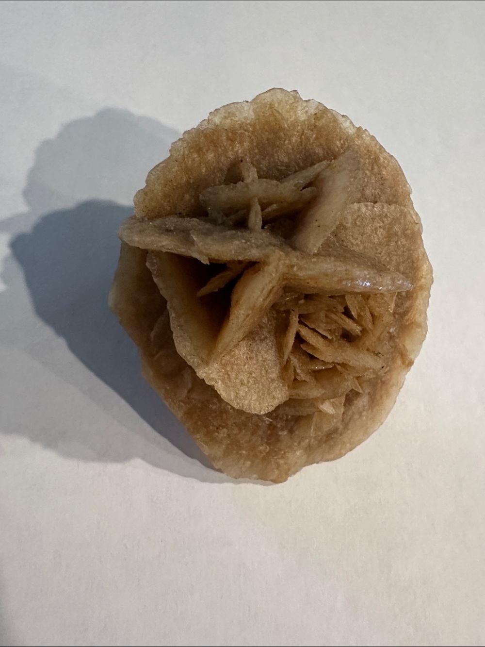 3.0x2.5 Desert Rose Crystal Cluster
